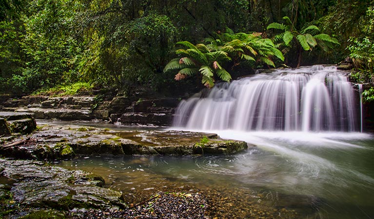 Bendolba NSW Mackay Tourism