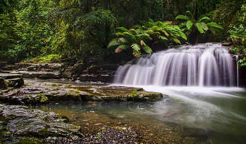 Rocky Crossing Walk - Mackay Tourism 0