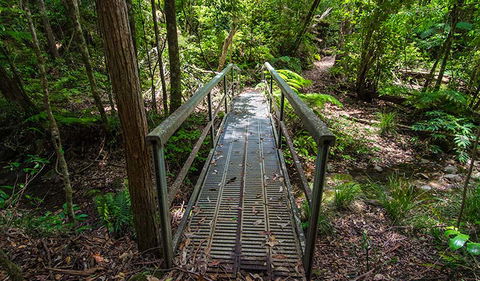 Rocky Crossing Walk - Mackay Tourism 2