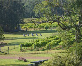 Wollombi Wines - Mackay Tourism 8