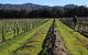 Around Hermitage Wine And Food Trail Hunter Valley - thumb 1