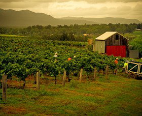 Around Hermitage Wine And Food Trail Hunter Valley - Mackay Tourism 0