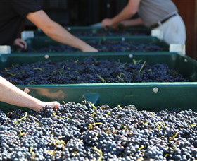 Around Hermitage Wine And Food Trail Hunter Valley - Mackay Tourism 6