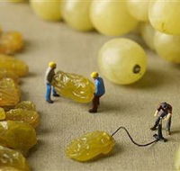 Hunter Valley Wine School - Mackay Tourism