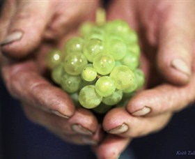 Keith Tulloch Wine - Mackay Tourism 1