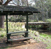 Barrington Tops State Forest - Mackay Tourism