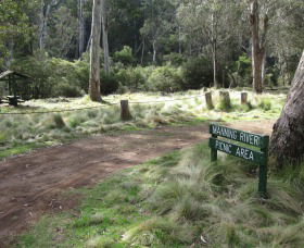 Barrington Tops State Forest - Mackay Tourism 3
