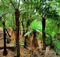 Pegarah Private Nature Reserve  Parenna Place - Mackay Tourism