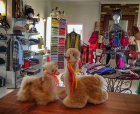 Australian Alpaca Barn - Hunter Valley Gardens - Mackay Tourism 2