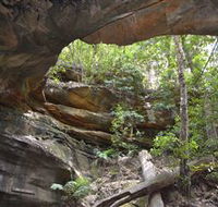 Cave Creek Walking Track - Mackay Tourism