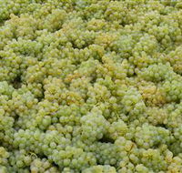 Normanby Wines - Mackay Tourism