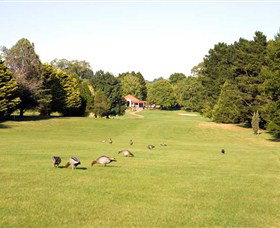 Moss Vale Golf Club - Mackay Tourism 2