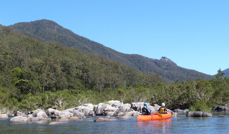 Upper Fine Flower NSW Mackay Tourism