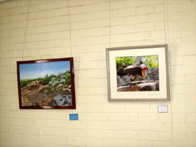 Maryborough Art Society Inc. - Mackay Tourism 2