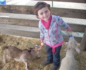 Hunter Valley Zoo - Mackay Tourism 4