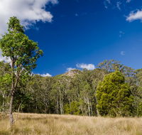 Brush Turkey track - Mackay Tourism