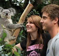 Featherdale Wildlife Park - Mackay Tourism