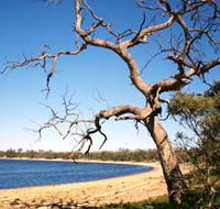 Lake Indoon - Mackay Tourism