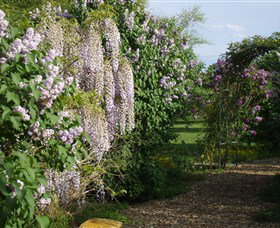 Back O The Moon - Mackay Tourism 3