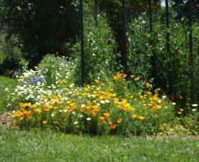 Back O The Moon - Mackay Tourism 2