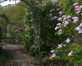 Back O The Moon - Mackay Tourism 4