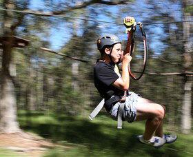 TreeTop Adventure Park Sydney - Mackay Tourism 0