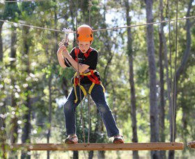 TreeTop Adventure Park Sydney - Mackay Tourism 1