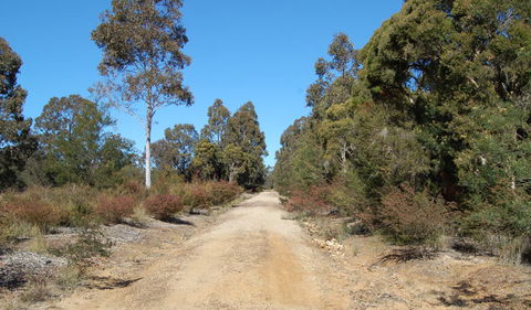 Werakata National Park - Mackay Tourism 0