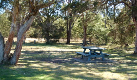 Werakata National Park - Mackay Tourism 1