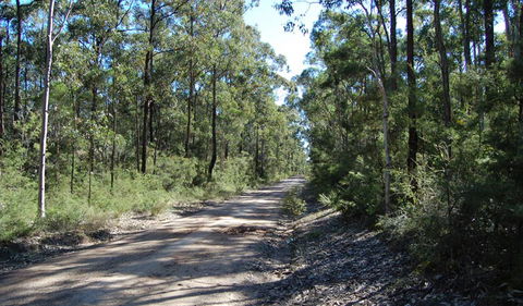 Werakata National Park - Mackay Tourism 2