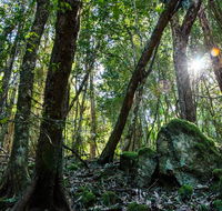 Copeland Tops State Conservation Area - Mackay Tourism