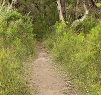 Three Views walking track - Mackay Tourism