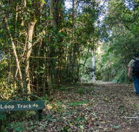 Basin Loop track - Mackay Tourism