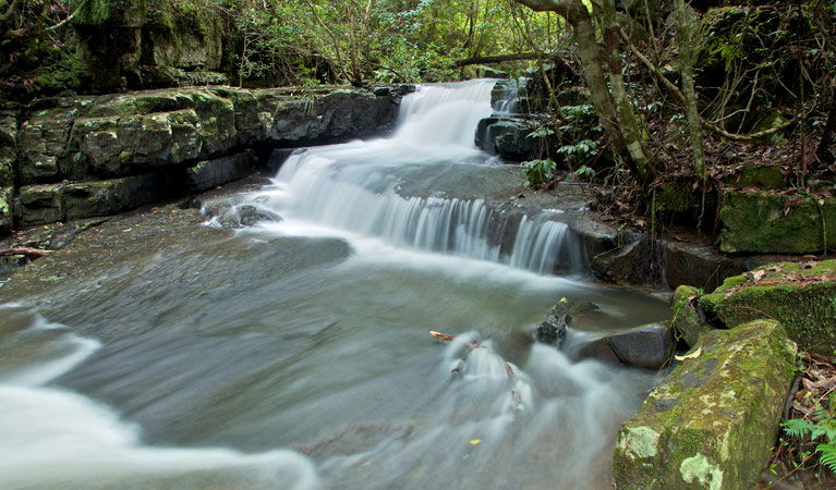 Bandon Grove NSW Mackay Tourism