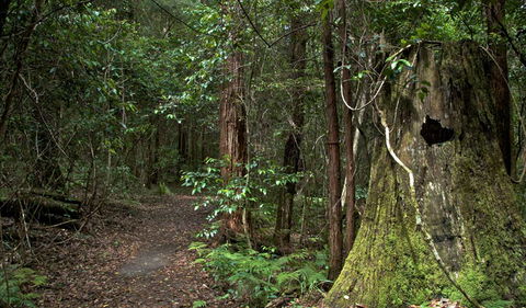 Jerusalem Creek Trail - Mackay Tourism 1