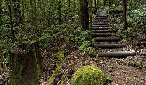 Jerusalem Creek Trail - Mackay Tourism 2