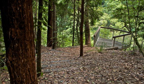 Jerusalem Creek Trail - Mackay Tourism 3