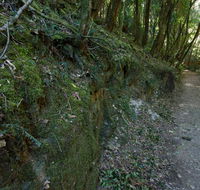 Hidden Treasure track - Mackay Tourism