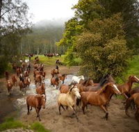Glenworth Valley Horse Riding - Mackay Tourism