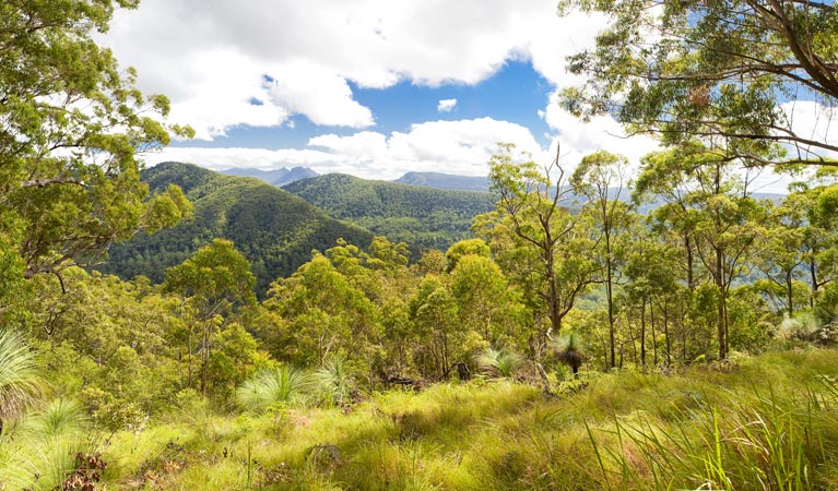 Edenville NSW Mackay Tourism