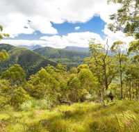 Toonumbar National Park - Mackay Tourism