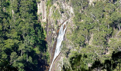 Carrai National Park - Mackay Tourism 0