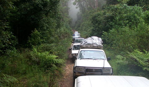 Carrai National Park - Mackay Tourism 3