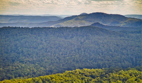 Murray Scrub Lookout - Mackay Tourism 1