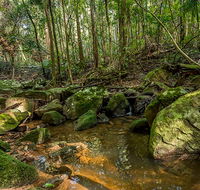 Palm Grove Nature Reserve - Mackay Tourism