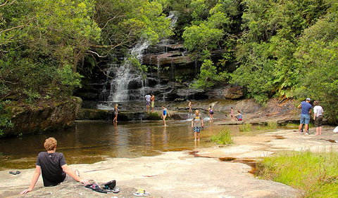 Somersby Falls Picnic Area - Mackay Tourism 0
