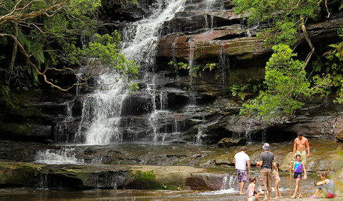 Somersby Falls Picnic Area - Mackay Tourism 2