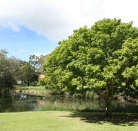 Hervey Bay Botanic Gardens - Mackay Tourism