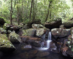 Kangaroo River - Mackay Tourism 0