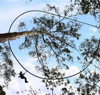 TreeTops Crazy Rider - Mackay Tourism